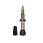 VALVE DE PNEU VTT SELECTION P2R TUBELESS 35mm (VRAC)