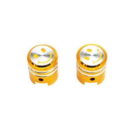 BOUCHON DE VALVE SCOOT-CYCLO REPLAY VS PISTON OR  (PAIRE)