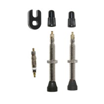 VALVE DE PNEU VTT SELECTION P2R TUBELESS COLORI TITANE 45mm PRESTA (LA PAIRE)
