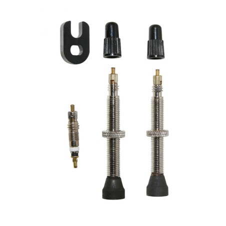 VALVE DE PNEU VTT SELECTION P2R TUBELESS COLORI TITANE 45mm PRESTA (LA PAIRE)