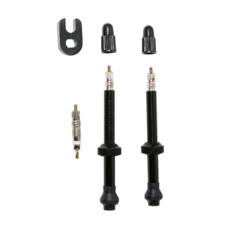 VALVE DE PNEU VTT SELECTION P2R TUBELESS COLORI NOIR 60mm PRESTA (LA PAIRE)