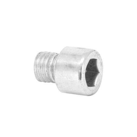 VIS CHC 6 PANS CREUX M10 x 10 mm CHROME (SACHET DE 10 PIECES)
