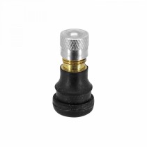 VALVE POUR PNEU TUBELESS TROTTINETTE XIAOMI M365 STANDARD DROITE