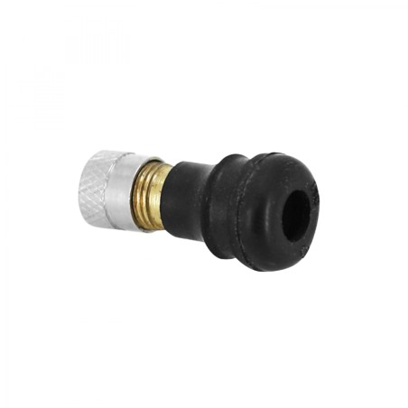 VALVE POUR PNEU TUBELESS TROTTINETTE XIAOMI M365 STANDARD DROITE