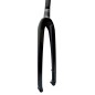 FOURCHE CB GRAVEL   AXE - C1607450-300PNA - 3032651931966