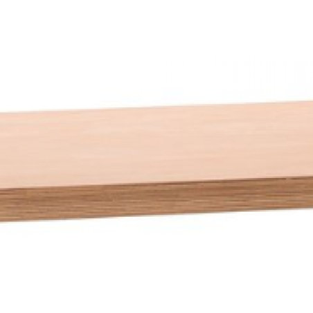 PLATEAU BOIS ETABLI MODULAIRE - C9122304 - 3838909256320